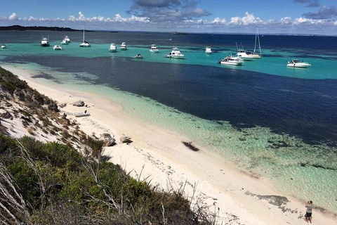 Experience Rottnest With Ferry & Bike Hire From Perth Or Fremantle - Accommodation Asia 0