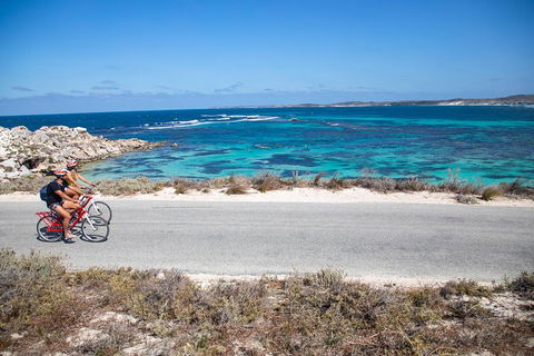Experience Rottnest With Ferry & Bike Hire From Perth Or Fremantle - Accommodation Asia 2