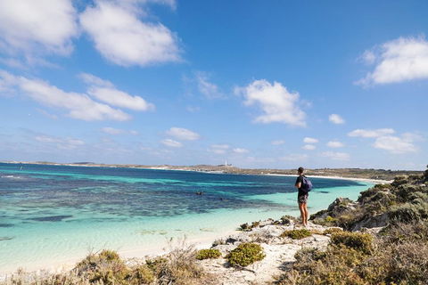 Experience Rottnest With Ferry & Bike Hire From Perth Or Fremantle - Accommodation Asia 3