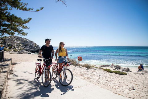 Experience Rottnest With Ferry & Bike Hire From Perth Or Fremantle - Accommodation Asia 4
