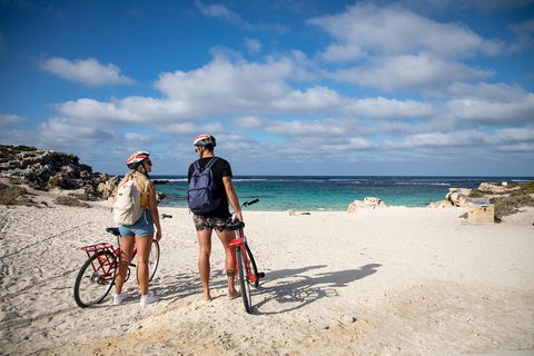 Experience Rottnest With Ferry & Bike Hire From Perth Or Fremantle - Accommodation Asia 5