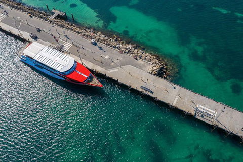 Rottnest Island Round-Trip Ferry From Perth Or Fremantle - Accommodation Asia 1