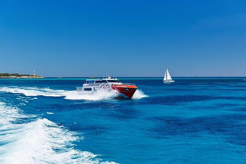 Rottnest Island Round-Trip Ferry From Perth Or Fremantle - Accommodation Asia 4