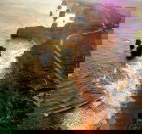 Full-Day Great Ocean Road and 12 Apostles Sunset Tour from Melbourne - Accommodation China