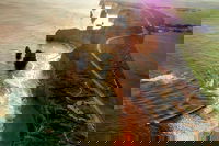 Full-Day Great Ocean Road and 12 Apostles Sunset Tour from Melbourne