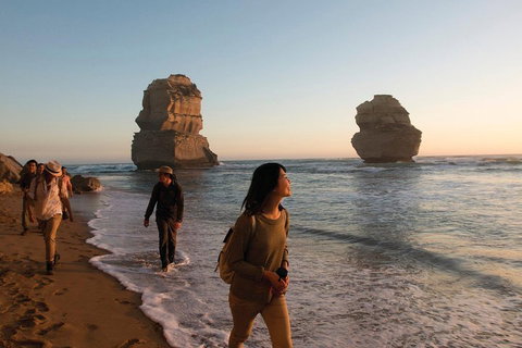 Full-Day Great Ocean Road And 12 Apostles Sunset Tour From Melbourne - Accommodation Guide 4