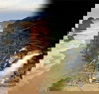 Melbourne Super Saver Great Ocean Road  Phillip Island  Attraction Pass - Accommodation China