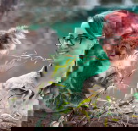 Small-Group Phillip Island Penguin Parade Day Tour from Melbourne - Accommodation China