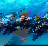 Great Barrier Reef Diving and Snorkeling Cruise from Cairns - Accommodation Guide