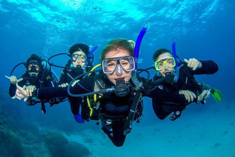 Great Barrier Reef Diving And Snorkeling Cruise From Cairns - Accommodation Guide 0