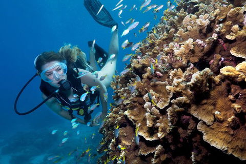 Great Barrier Reef Diving And Snorkeling Cruise From Cairns - Accommodation Guide 1