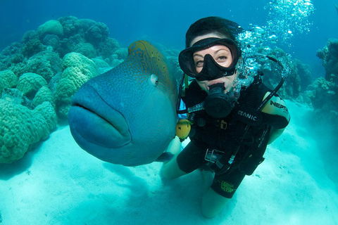 Great Barrier Reef Diving And Snorkeling Cruise From Cairns - Accommodation Guide 2