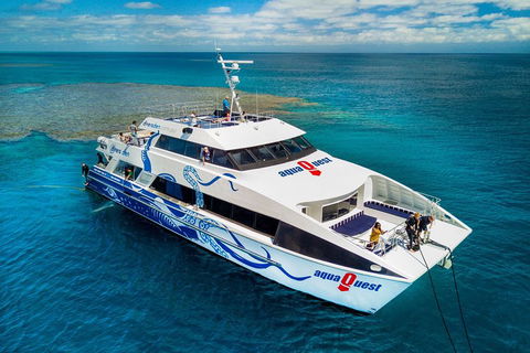 Great Barrier Reef Diving And Snorkeling Cruise From Cairns - Accommodation Guide 5