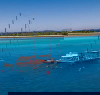 Ocean Free Green Island  Great Barrier Reef Snorkel Cruise Cairns 25 guests - Accommodation Guide