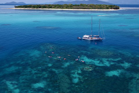Ocean Free Green Island & Great Barrier Reef Snorkel Cruise, Cairns 25 Guests - Accommodation Asia 2