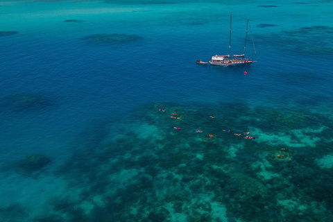 Ocean Free Green Island & Great Barrier Reef Snorkel Cruise, Cairns 25 Guests - Accommodation Asia 5