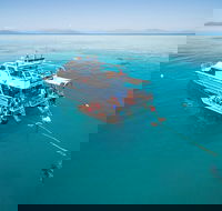 Ocean Freedom Great Barrier Reef Personal Luxury Snorkel  Dive Cruise Cairns - Accommodation Guide