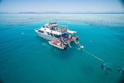 Ocean Freedom Great Barrier Reef Personal Luxury Snorkel & Dive Cruise, Cairns - Accommodation Guide 0