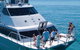 Ocean Freedom Great Barrier Reef Personal Luxury Snorkel & Dive Cruise, Cairns - thumb 1
