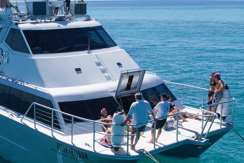 Ocean Freedom Great Barrier Reef Personal Luxury Snorkel & Dive Cruise, Cairns - Accommodation Guide 1