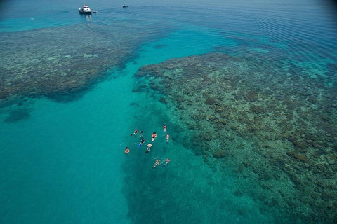 Ocean Freedom Great Barrier Reef Personal Luxury Snorkel & Dive Cruise, Cairns - Accommodation Guide 3