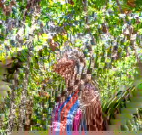 5 Day Australia Retreat Queensland Daintree - Accommodation China