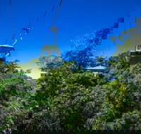 Classic Kuranda by Skyrail and Scenic Railway Including Rainforestation Koala and Wildlife Park and Pamagirri Aboriginal Experi - Accommodation China