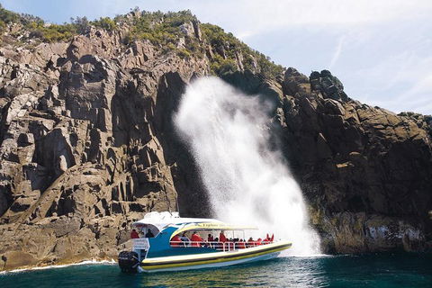 Full-Day Bruny Island Cruises Day Tour From Hobart - Accommodation Guide 4