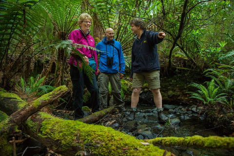Bruny Island Traveller - Gourmet Tasting And Sightseeing Day Trip From Hobart - Accommodation Asia 1