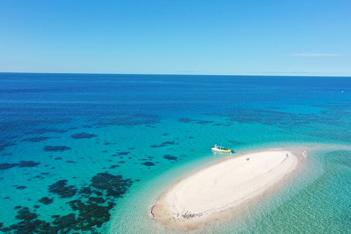 Cape Tribulation QLD Accommodation Guide