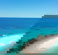Ocean Safari Great Barrier Reef Experience in Cape Tribulation - Accommodation Guide