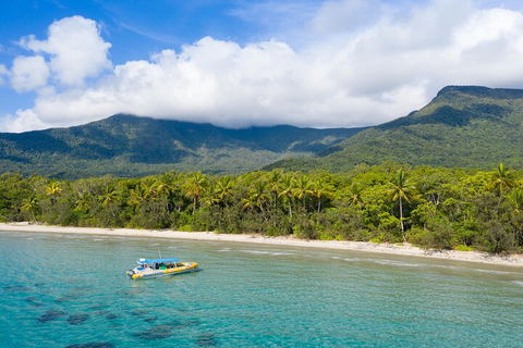 Ocean Safari Great Barrier Reef Experience In Cape Tribulation - Accommodation Guide 2
