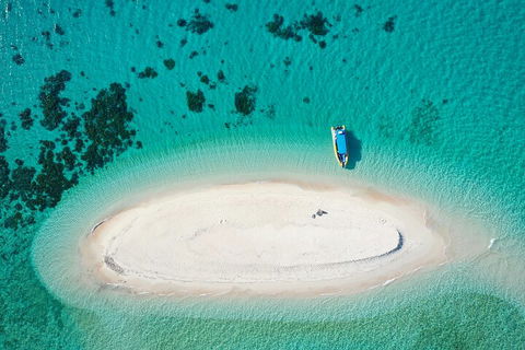 Ocean Safari Great Barrier Reef Experience In Cape Tribulation - Accommodation Guide 3