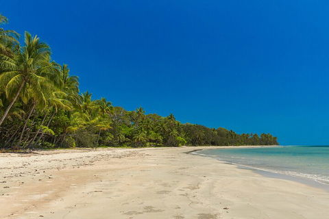 Ocean Safari Great Barrier Reef Experience In Cape Tribulation - Accommodation Guide 4