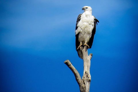 Kangaroo Island 75-Minute Ocean Safari - Accommodation Guide 0