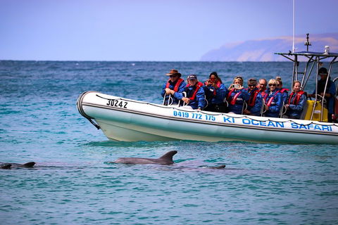 Kangaroo Island 75-Minute Ocean Safari - Accommodation Guide 4