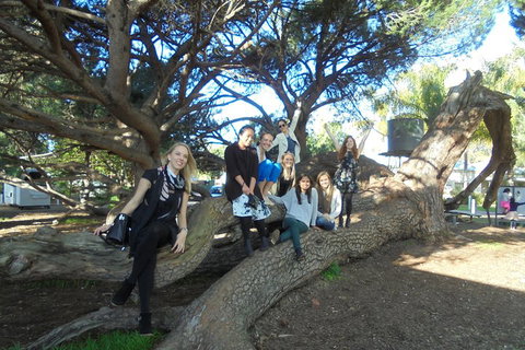 1/2 Day Swan Valley Wine Cheese & Chocolate Tour Inc Afternoon Cruise To Perth - Accommodation Guide 0