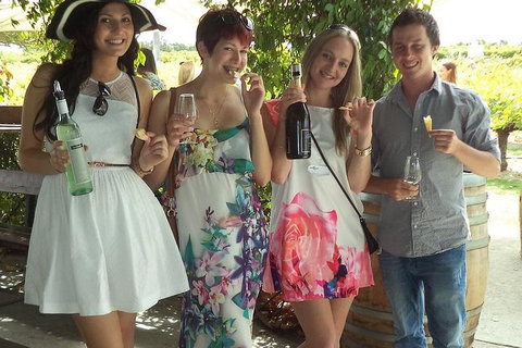 1/2 Day Swan Valley Wine Cheese & Chocolate Tour Inc Afternoon Cruise To Perth - Accommodation Guide 4