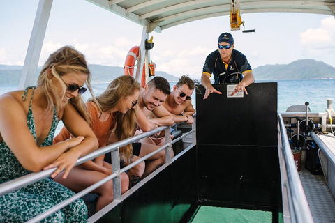 Fitzroy Island Day Trip From Cairns - Accommodation Guide 4