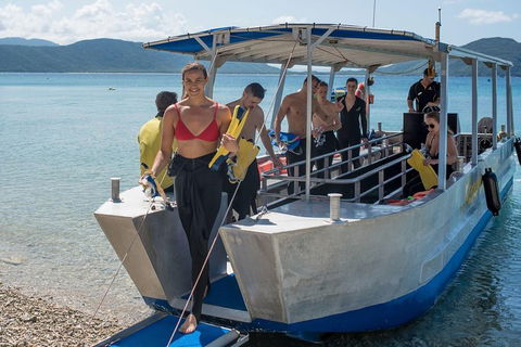 Fitzroy Island Day Trip From Cairns - Accommodation Guide 5