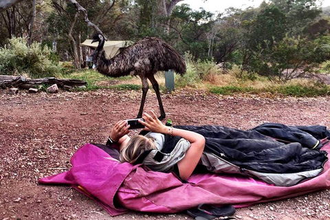 6 Day Esperance & Margaret River Adventure Tour - Accommodation Asia 5