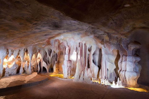 Springbrook AndTamborine Rainforest Tour Incl Natural Bridge And Glow Worm Cave - Accommodation Guide 4