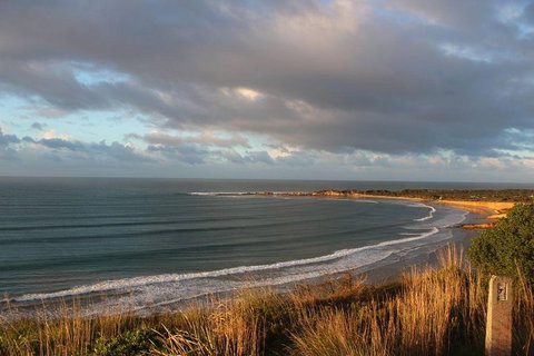 Private Great Ocean Road Day Tour With Early Departure & Early Return (11 Hours) - Accommodation Guide 0