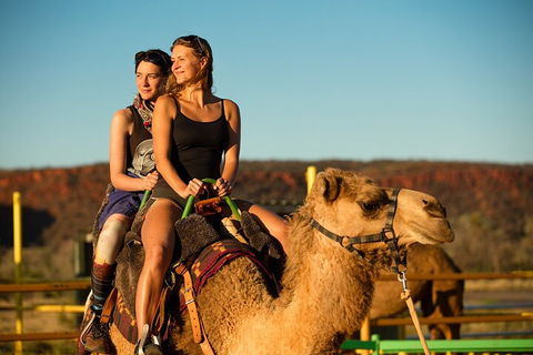4 Day/3 Night Perentie Dreaming Safari - Accommodation Guide 4