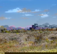 Overnight Uluru Ayers Rock Small-Group Camping Tour - Accommodation Guide