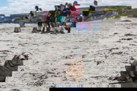 Book Viator Accommodation Vacations Accommodation Guide Accommodation Guide