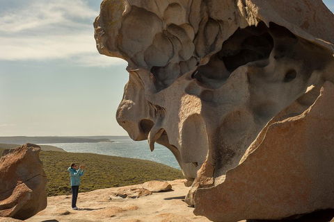 Kangaroo Island In A Day Tour From Adelaide - Accommodation Guide 5
