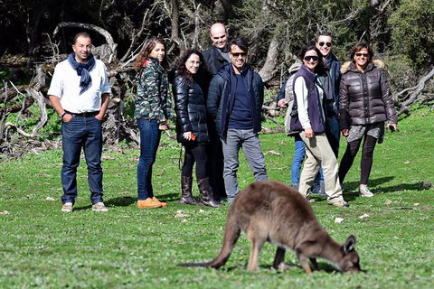 2-Day Kangaroo Island 4WD Small-Group Tour From Adelaide - Accommodation Guide 1