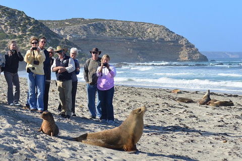 2-Day Kangaroo Island 4WD Small-Group Tour From Adelaide - Accommodation Guide 3