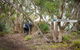 2-Day Kangaroo Island 4WD Small-Group Tour From Adelaide - thumb 5